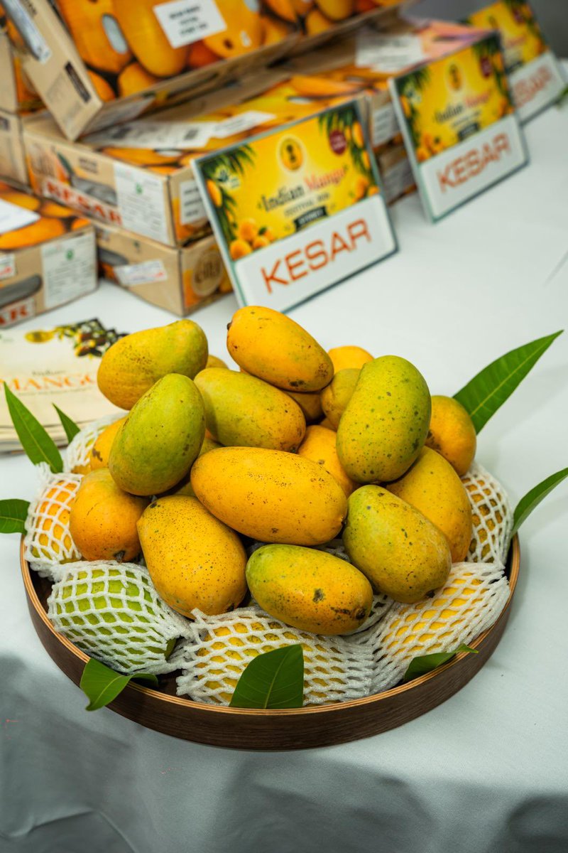 APEDADOC's tweet photo. Celebrating the taste of India in Australia. 🇮🇳🥭

APEDA, in association with the Consulate General of India in Sydney, proudly hosted the first-ever Indian Mango Festival in Sydney on 1st July 2026, showcasing five premium varieties of Indian mangoes from across India.

The festival brought together mango enthusiasts, who experienced the authentic taste of Indian mangoes and freshly prepared mango lassi, highlighting India’s rich horticultural heritage. The overwhelming response reflects the growing global appreciation for Indian fresh produce.

Through such initiatives, APEDA continues to promote India’s premium agricultural products, strengthen export opportunities, and expand the global footprint of Indian farmers and exporters.

#DoC_GoI #APEDA #IndianMangoes #MangoFestival #Sydney #FreshFromIndia