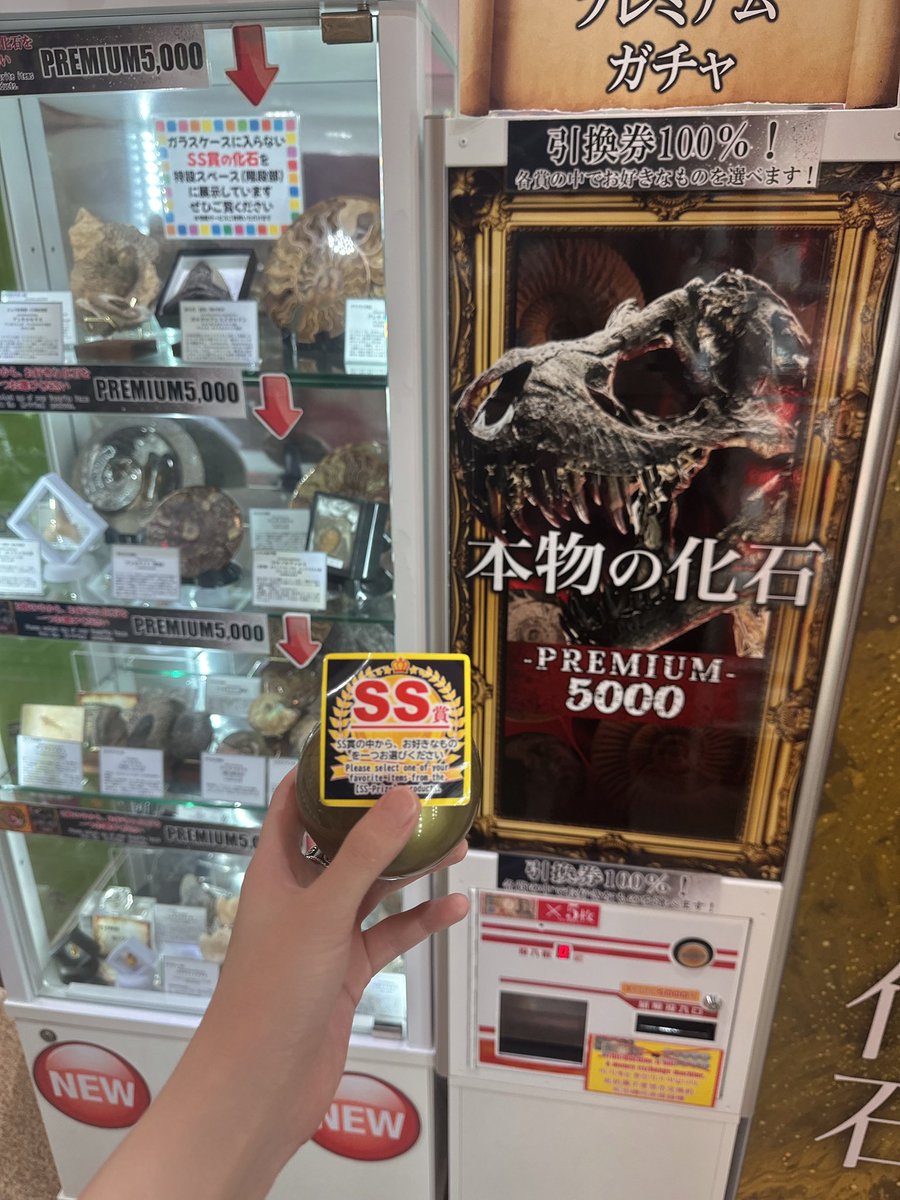 ネミリー tweet media