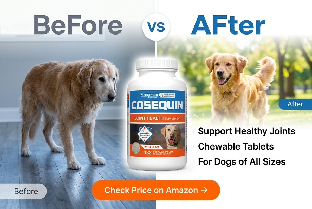 Deals4AllShop's tweet photo. 🐶 Is your dog slowing down because of stiff joints?Give them the support they deserve with Nutramax Cosequin—a trusted joint health supplement featuring Glucosamine, Chondroitin & MSM to help support healthy mobility for dogs of all breeds and sizes. ❤️🐕🛒 Grab yours here:
👉 https://t.co/MrvkfVBZsH
#DogHealth #DogLovers #PetCare #HealthyDogs #DogSupplements #JointHealth #SeniorDogs #PetParents #Dogs #AmazonFindsDisclosure: As an Amazon Associate, I earn from qualifying purchases.