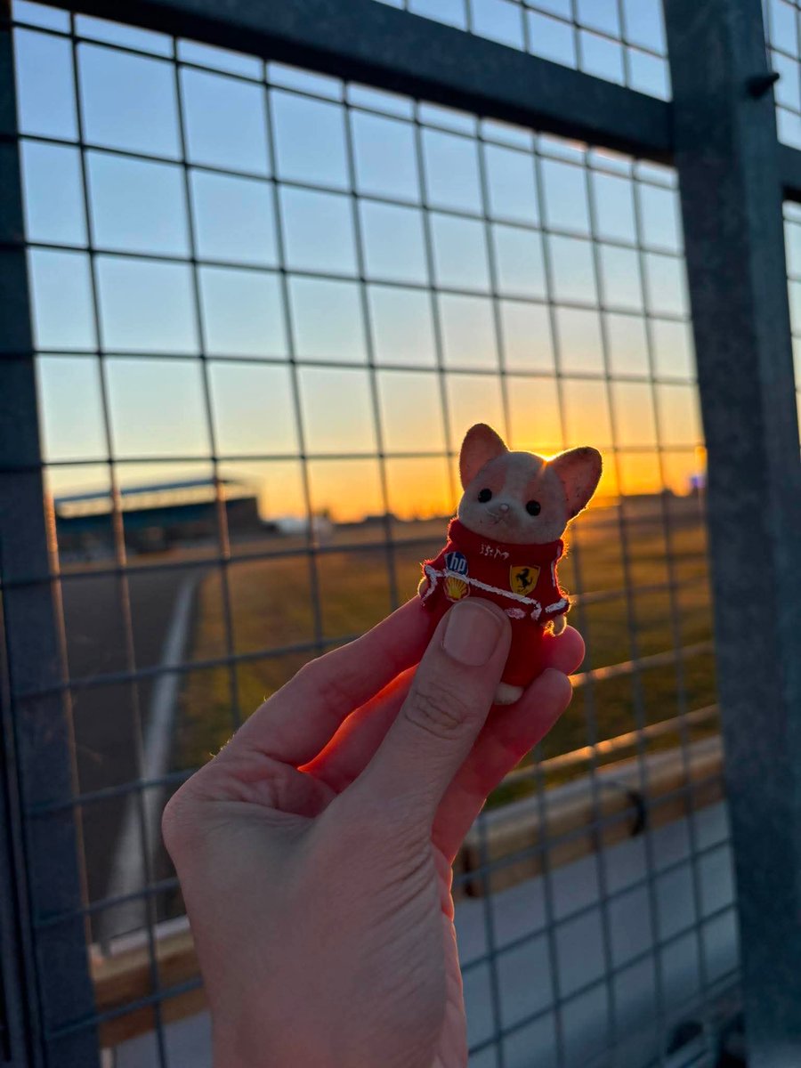 BosozoCake's tweet photo. HELP LOST!! 

My dear friend Tori is going through difficult things in her life and her little @Charles_Leclerc cat was lost yesterday evening at #Silverstone track. This might seem like nothing to you but it's a lot to her.

Please can you help us find it?
@ScuderiaFerrari https://t.co/ppDkX6gieD