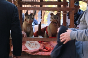 wolfmuzzle1's tweet photo. 山陰のオオカミサン③ 伯耆国（鳥取県中西部）-㋺
米子市淀江町の三輪神社は奈良の三輪山より毎春に狼の魂がやってきて地域を護って下さり秋にお帰りになるという伝説に基づいた狼神事が続いている
伯耆大山の開山伝説には海から出現した金色の狼が関係している
大山山麓には狛狼がおられる神社あり https://t.co/ioh2e1CFI4