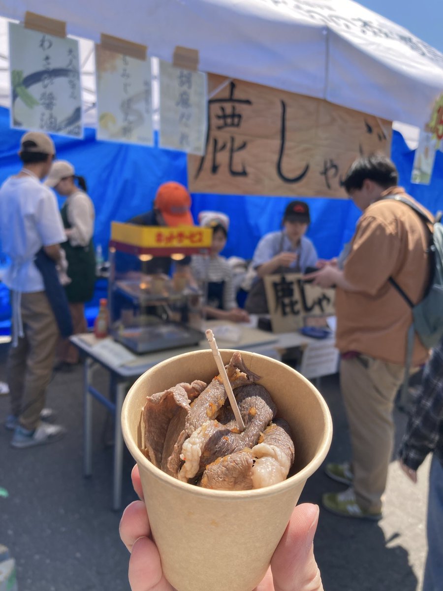 fx_ayame's tweet photo. 今日から母校の大学祭🥳
茶道部の茶席にお邪魔してから、構内ぶらぶら👣⸒⸒
恒例のアイス美味しかった😋ブルーグラスの演奏、キャンパスライフ楽しんでるなぁ🎶て感じが伝わってきた。狩猟研究会があって鹿しゃぶを!!(✧⩊✧)OBのつてで鹿肉仕入れたそう。クセないし、しっとりで美味しかった😋 https://t.co/SkuOjIjTpW