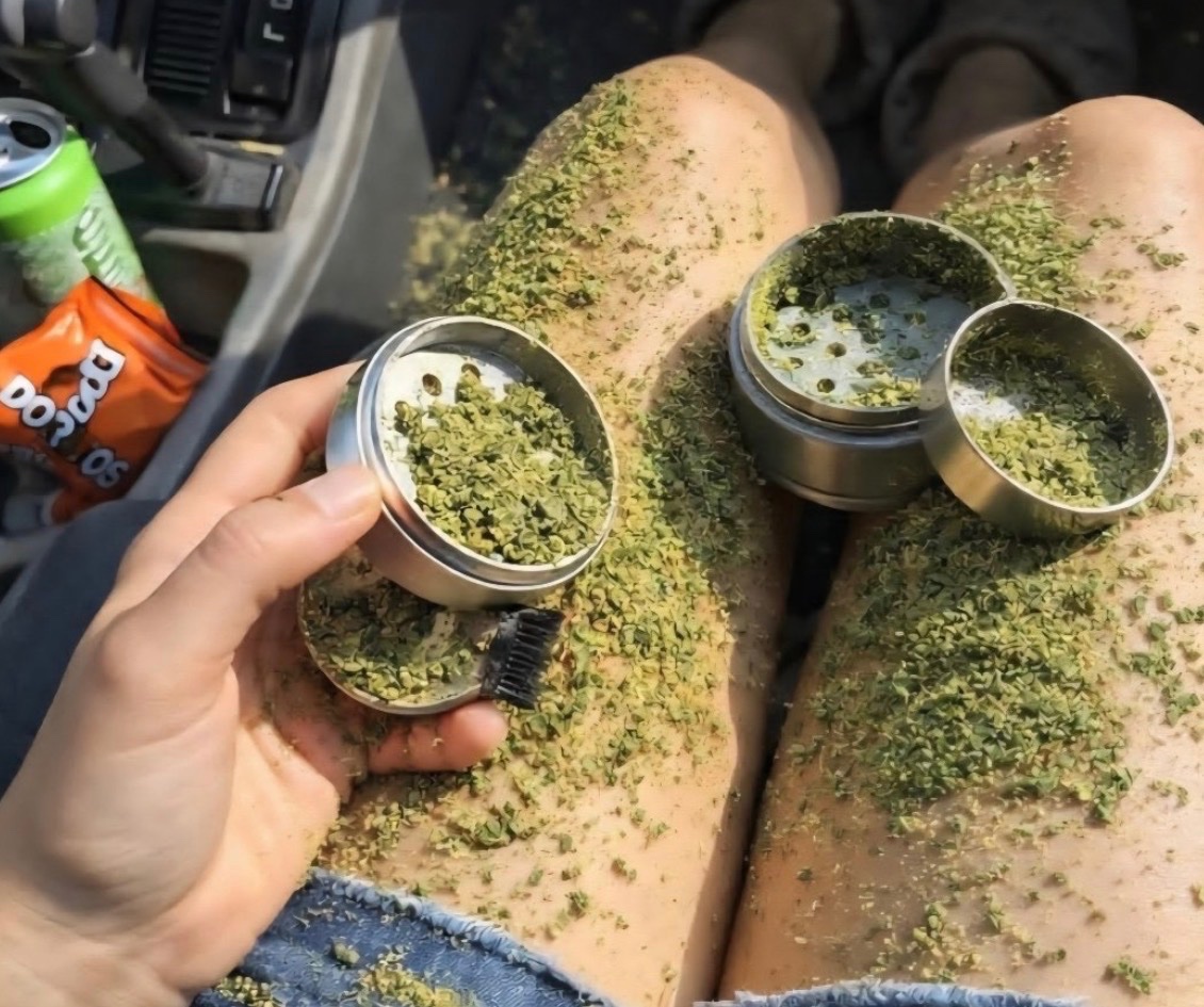 STONERS R US 🍃 tweet media