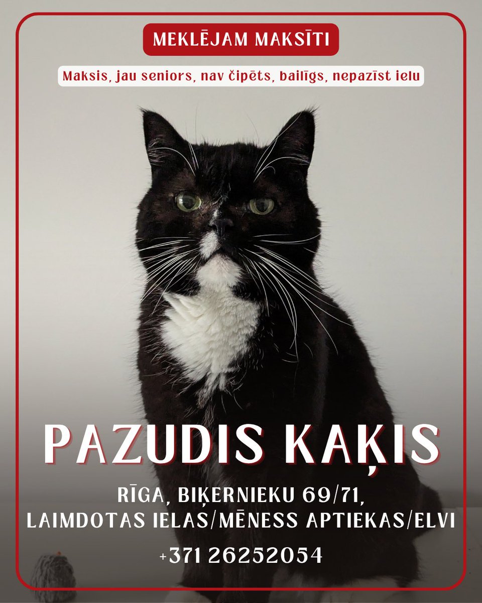 remicentrs's tweet photo. 🆘 Pazudis Maksītis: Rīga, Biķernieku 69/71 rajons, Laimdotas ielas/Mēness aptiekas/Elvi rajons 🆘

Maksītis ir 10 gadus vecs, līdzīgs britu īsspalvainajam, tramīgs pret svešiem, rokās, visticamāk nedosies, nav čipēts.

Izmuka ap pusnakti naktī no 03.07 uz 04.07., slēpās zem mašīnām un nedevās rokās.

☎️ 26252054 jebkurā laikā

‼️ ATLĪDZĪBA GARANTĒTA ‼️