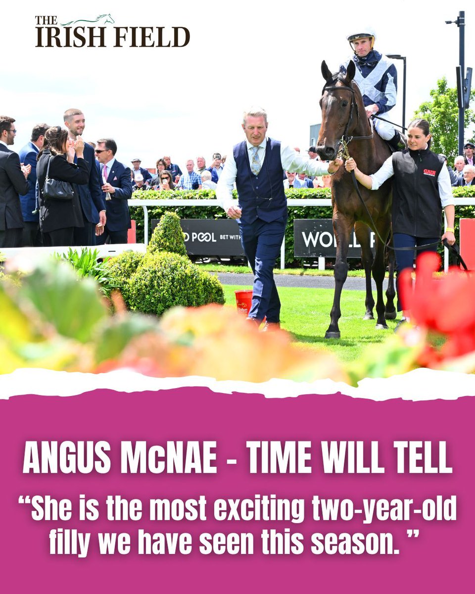 TheIrishField's tweet photo. How good is Benvenuto Cellini? Angus finds the stats are in his favour and picks out two stablemates who may also have the wow factor, in The Irish Field this weekend
https://t.co/WDPwtoq7mj https://t.co/gLWxCYzaVt