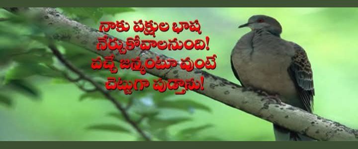 Nareshdasarii's tweet photo. https://t.co/bNla2oaqEn