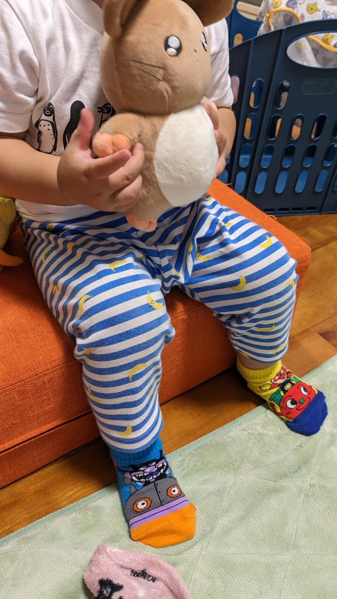 k_west330's tweet photo. うちの野ねずみぬいは子の新しいお友達になりました #シュエっとね https://t.co/pU7CKcdXuL