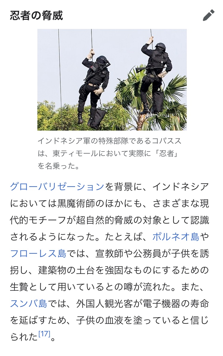 Rihyo37's tweet photo. 日本語Wikiにもニンジャ事件の記事があった。この事件以前から、インドネシアや東ティモールでは忍者は超自然的脅威の一つとして認識されていた。猫に変身したり、隠れたり、暗殺したりといった噂が流れ、自警団は忍者対策として白魔術師を頼るなどしていたらしい。
https://t.co/iGDEJnfrc8 https://t.co/rqOpRCtMFa