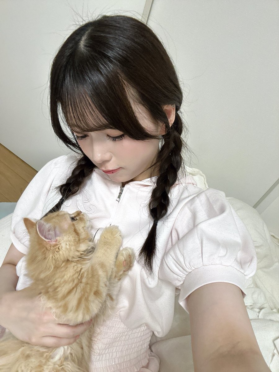 sns_nigatekamo's tweet photo. まろん🌰 https://t.co/3p6C0Q8z0H