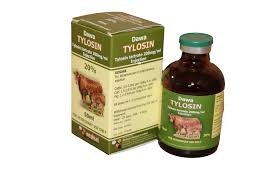 VetChris4's tweet photo. Farmers, these drugs are effective for the intended purpose, when used well. However, when livestock farmers try to treat their animals, it causes antimicrobial resistance and threatens foodsafety. One looses premium livestock markets. Call the Vet, increase your profit margins✅ https://t.co/04CEamn6h6