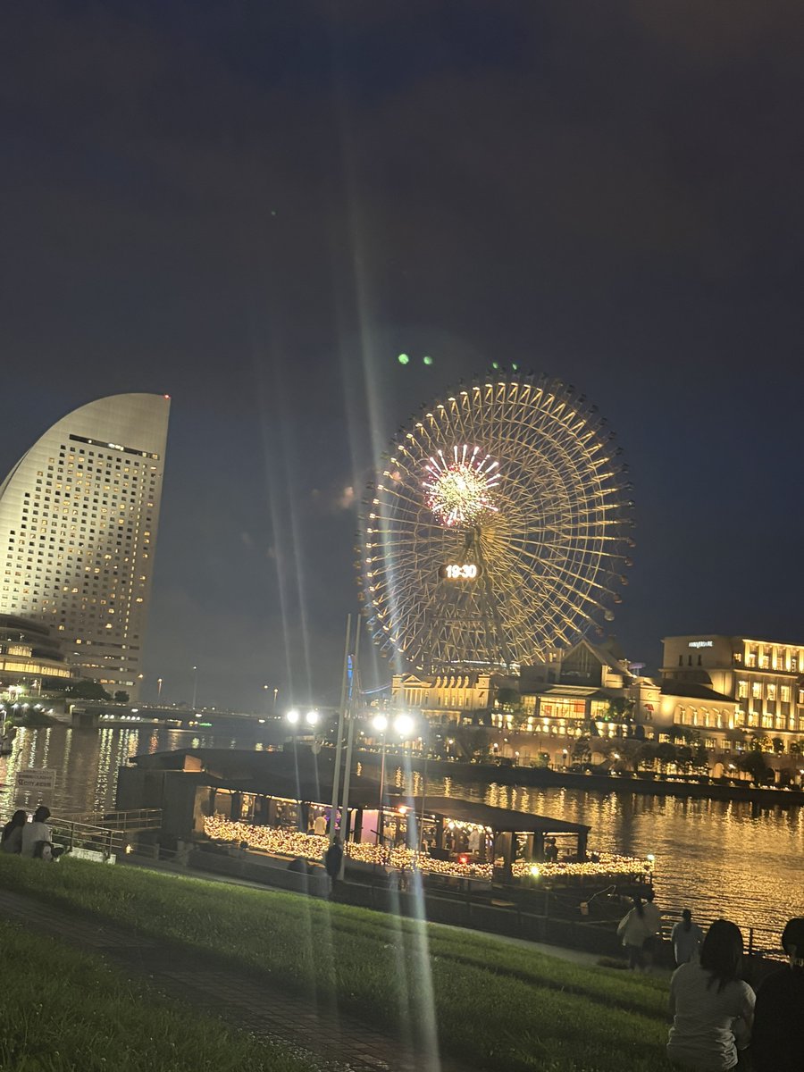 Crystal1ize's tweet photo. 草でタコ寝してたら可惜夜花火始まった https://t.co/XcgtlzBSui