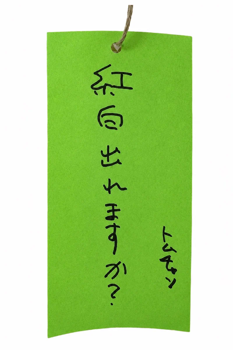鉄緑会　先輩からのメッセージ ブラザートム スタッフ on X: 