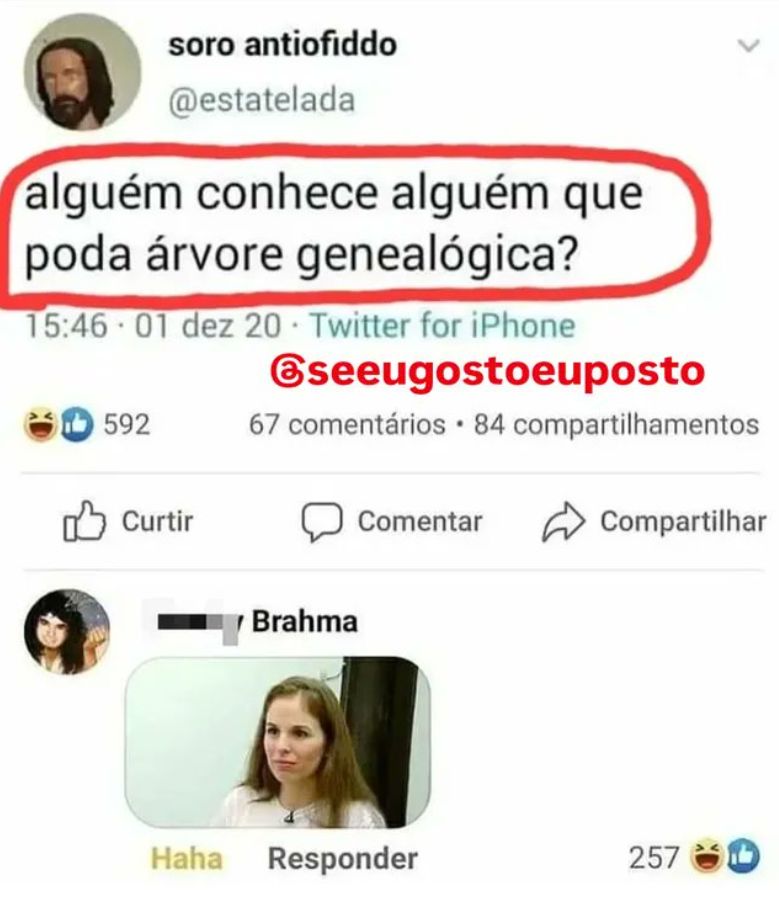 AnaliseDeCalvos's tweet photo. https://t.co/G9XV1afI7h