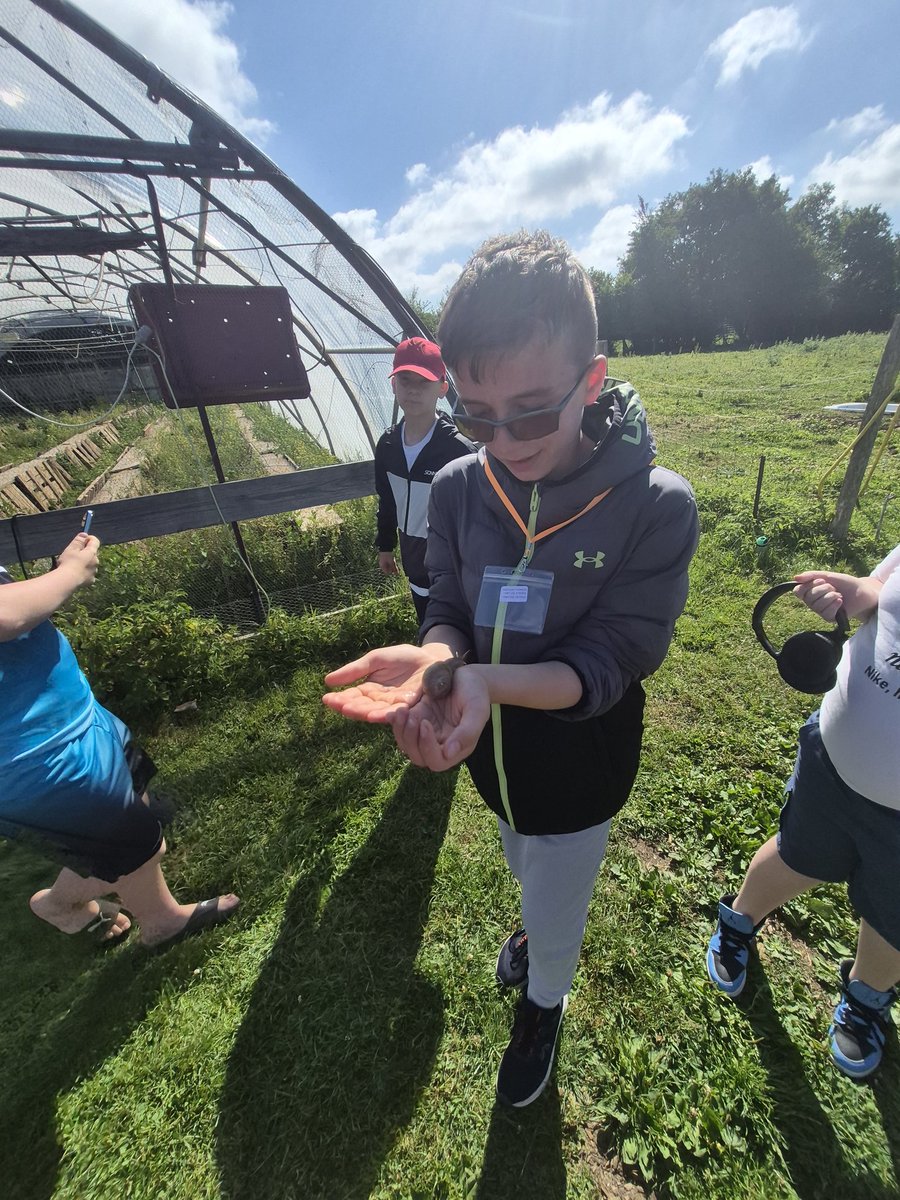 StBenedictDerby's tweet photo. Snail Farm Antics @SBCVATeamBlue25 https://t.co/a8rTssO1EU