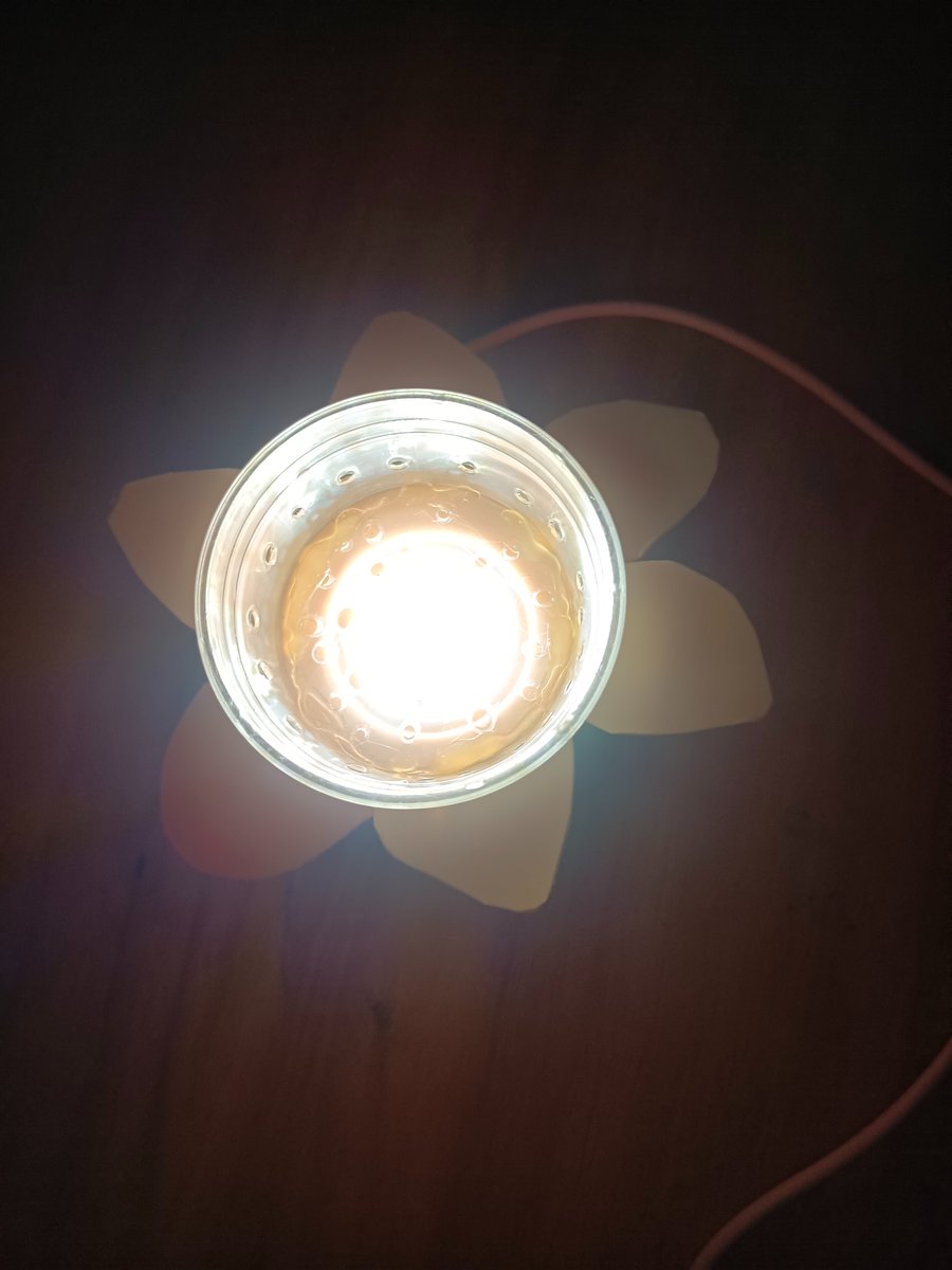 RLeopold90589's tweet photo. Just upcycled an old mason jar into a cute solar-powered night light—no fancy tools needed, perfect for cozy nights! https://t.co/7yRnHIquYM