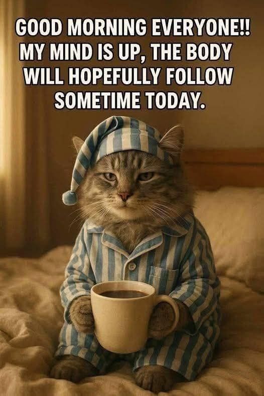 HangLavinia's tweet photo. Mornin https://t.co/ZO2h40FPh5