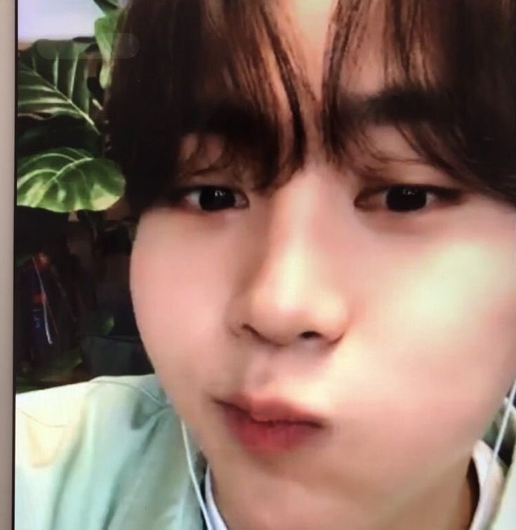 211_dinn0's tweet photo. 앙냥냥 뽀듕 승관 조아요 ❥𓂃𓏧 https://t.co/fTgyerO7eu