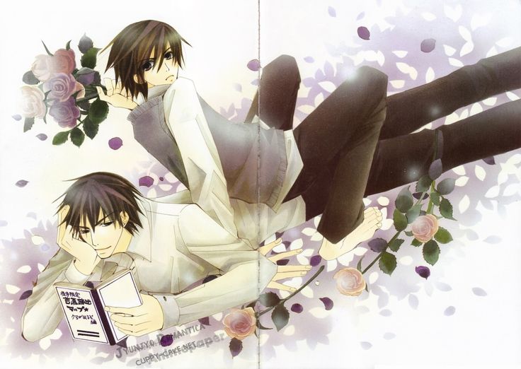 devil_kamijou's tweet photo. i love it when shinobu just fucking sits on top of miyagi.. like girl we get it🙄 youre skinny🙄 no need to rub it in our face🙄 https://t.co/idk9gpk3Rb