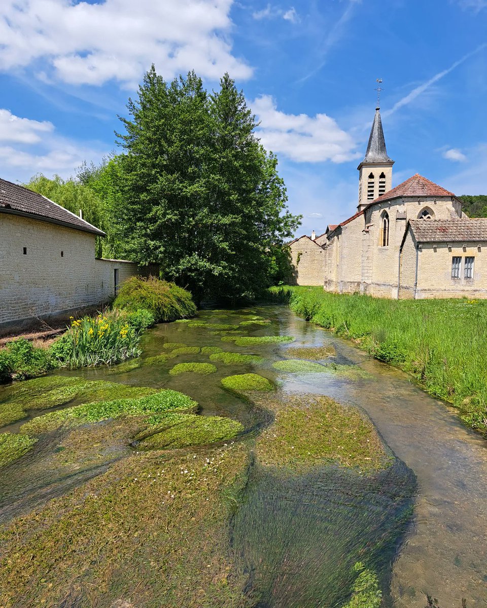 Ningannel's tweet photo. Pray, gentle traveller, let a vale’s soft murmur cradle a riddle in wild thyme.

Dedens le val, la fontaine demande à l'aignel
Dont vient l'onde vive et l’erbe douce souz le ciel?
 De la main qui ne se voit et qui fait le miel...🔥🍃❇️🦌 https://t.co/ZsgHVyAX8E