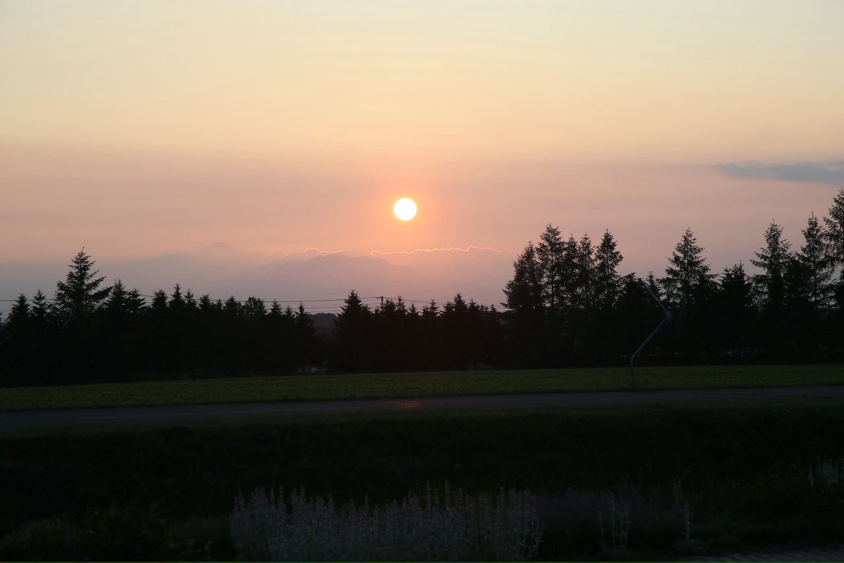 tats_dk's tweet photo. 夕方
これもラベンダーの一種らしい🪻
綺麗な夕日が沈んでく https://t.co/WsHEiQsrap