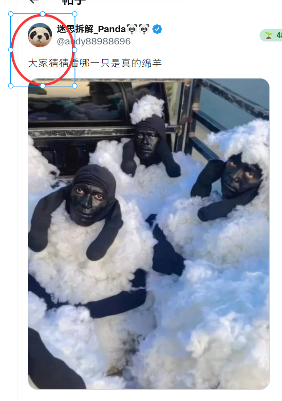 diff__Think's tweet photo. @andy88988696 我看这一只才是 https://t.co/oBUiS58WIJ