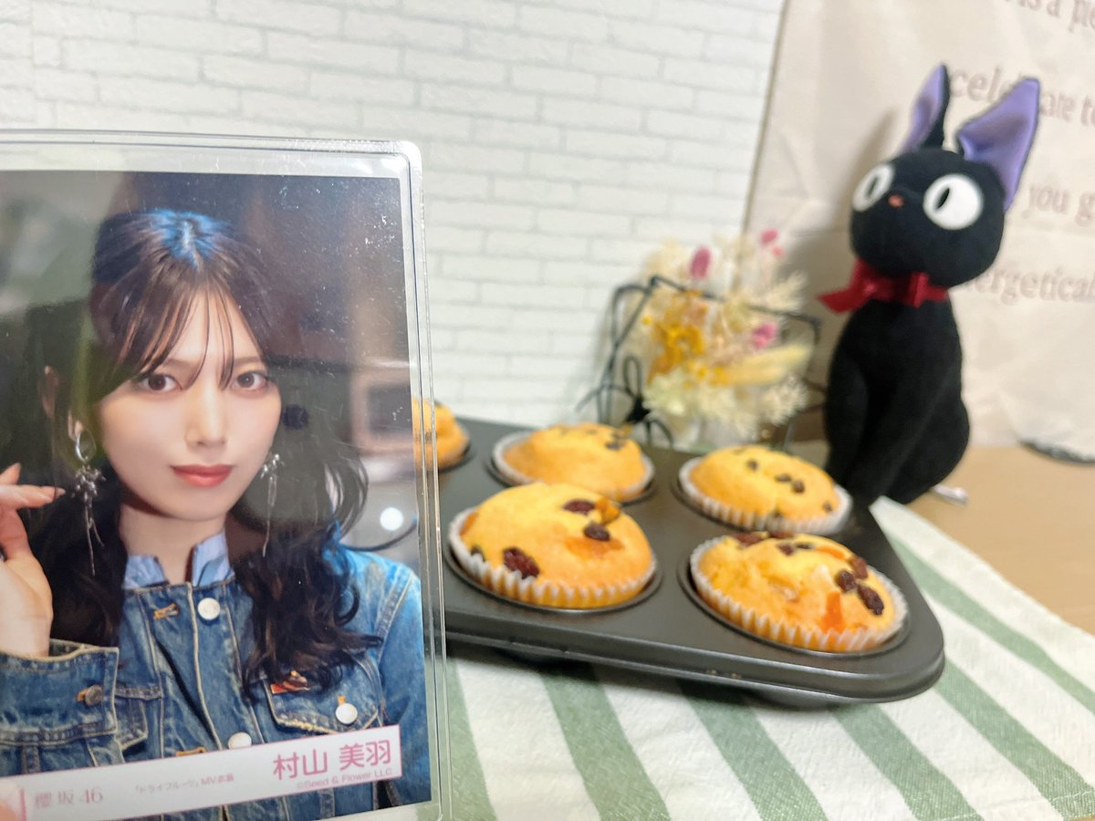 美羽ちゃんミーグリ🐈‍⬛🪽 ドライフルーツ100満開記念🧁𓈒 𓏸 ミトン