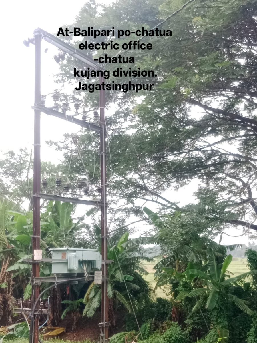 Muna_Offcial's tweet photo. @TPCentralOdisha @KVSinghDeo1 @CollectorJspur 
This is to bring to your notice that tree branches are in direct contact with, or dangerously close to, the incoming 11 kV overhead line and the distribution transformer at the above location.  incomer fuse has burn near DTr. https://t.co/GdAjkIWHQd