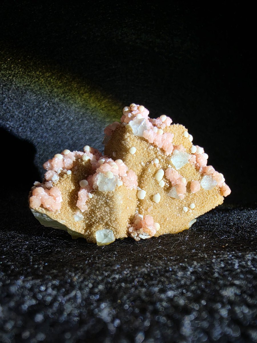 metron08's tweet photo. Fluorite, Rhodochrosite
American Tunnel, Sunnyside mine, Eureka, San Juan County, Colorado, USA
Ex. Charlie Ruggles Collection https://t.co/q2EXUwIYtn