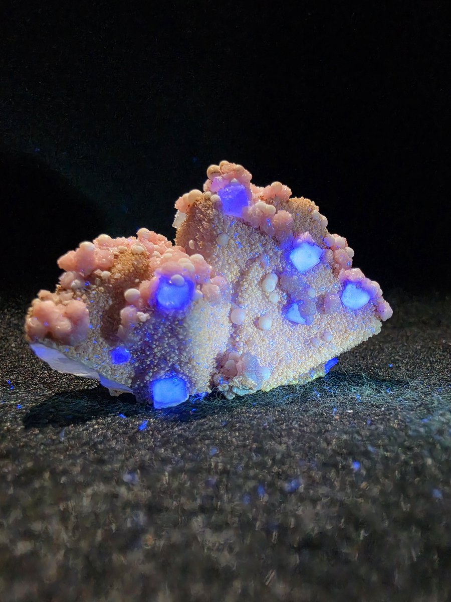 metron08's tweet photo. Fluorite, Rhodochrosite
American Tunnel, Sunnyside mine, Eureka, San Juan County, Colorado, USA
Ex. Charlie Ruggles Collection https://t.co/q2EXUwIYtn