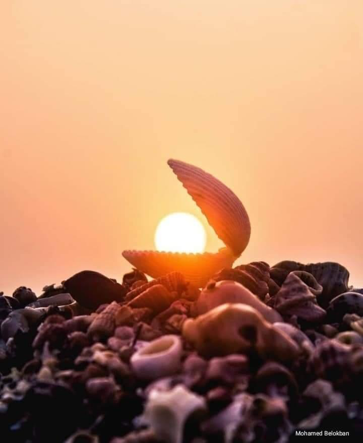 AdelAliBinAli's tweet photo. كلما تعسّرت بك الأمور تذكّر أن المِحن لا تدوم
﴿ فإنّ مع العُسر يُسرًا إن مع العُسر يُسرًا ﴾
إن الله لطيفٌ بنا .. إطمئن ..❤️ https://t.co/AHEL7LIMCB