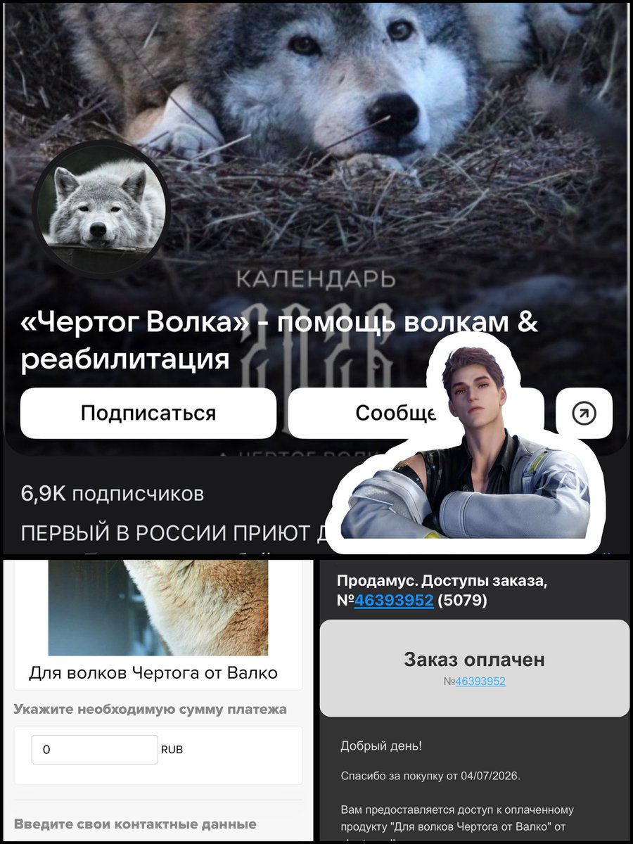 zoetranol's tweet photo. Russian fans opened a fundraiser for a wolf shelter in honor of Valko.
This is what love for a character can become. ❤️🐺
#Valko #JusticeForValko #恋与深空 #敖尹 #LADS #BringValkoBack #SaveValko #BringBackValko
#LADSValkoReturn
#GIVEUSVALKO 
#keepValkoalive https://t.co/uyOLWIICeI