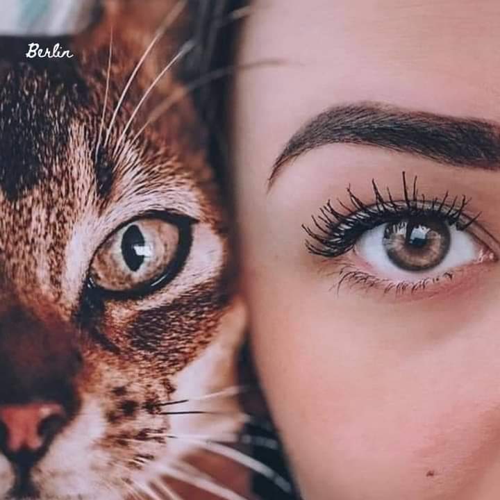 AdorableNature1's tweet photo. https://t.co/Lr2ON4MUeH