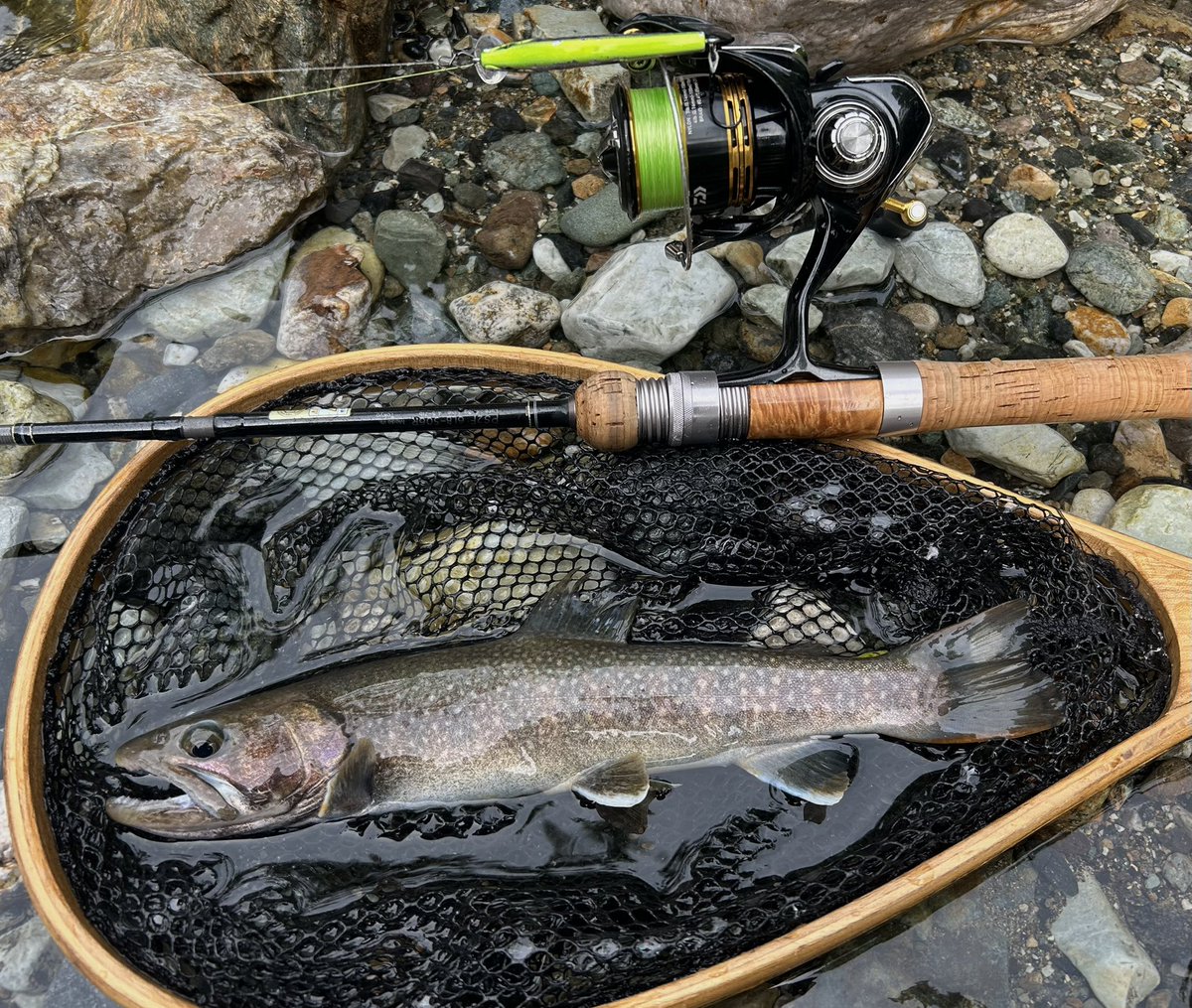 celsuper2's tweet photo. 北陸遠征DAY2
尺上33cmと大泣尺の29.8cm
昨日より下流区間に入渓したが、魚影薄過ぎてこの2匹しか釣れませんでした

魚影薄い川＝出ればデカイ説はやはり本当なのか！ https://t.co/yX8aZZQQTn