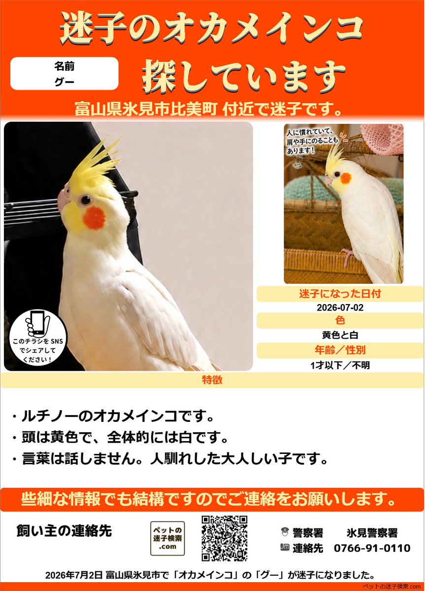 オカメインコ❤確認用です。
