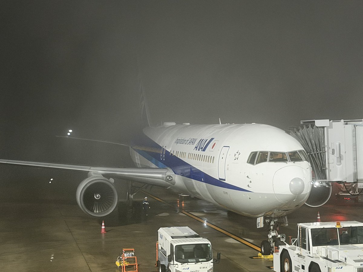 NHsfc2016's tweet photo. HIJ→HND✈️
NH686
濃霧で見えないんですけど...大丈夫かな？
仙台行は欠航した模様😇 https://t.co/eAEG9yO1GA
