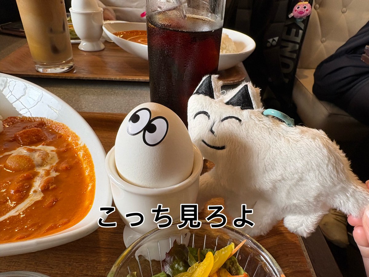 9qryZz's tweet photo. 出張先でみこちゃんが遊んでくれた〜最高〜
朝から晩まで最高な1日でした😘 https://t.co/x98PUZG3jU
