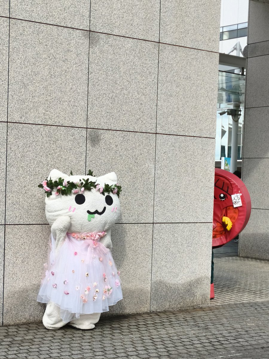 ❤︎ トモ様 ❤︎ 輪切りは見た|ᴗo̶̶̷`)ﾁﾗ