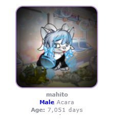 funkylittleman's tweet photo. @babyfacesenior mahito as a neopet (real) https://t.co/uYm5yHPGy2