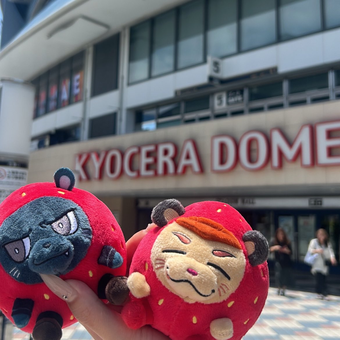 leiya_cb's tweet photo. JSBLAND🏰大阪
事前でパパラッチが当たったので急遽三代目参戦してきた(ᴖ ̫ᴖ  )♪ずっと入りたかったCD間のトロッコ導線に入れて最高に楽しかったしほんといつも推しは天才すぎるよ😭😭😭パパラでも相変わらず過ぎてほんとメロいし東京リベンジできて良かったし何よりもLANDでも入れてよかった😌⭐️ https://t.co/zMEO6RMSQ5