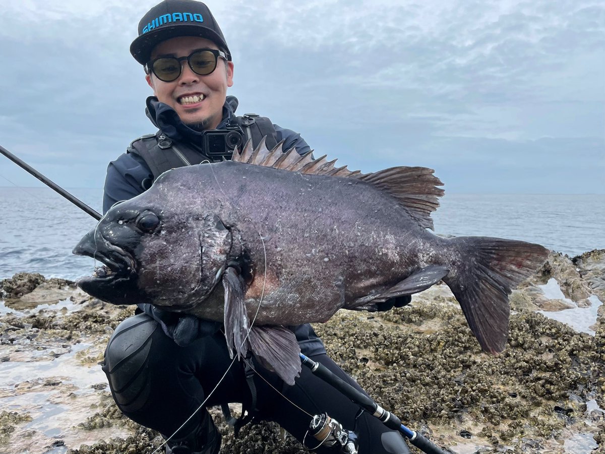 FishingNob's tweet photo. 虫ヘッド初イシダイが70オーバー🐟 https://t.co/bCpcnMKdjY