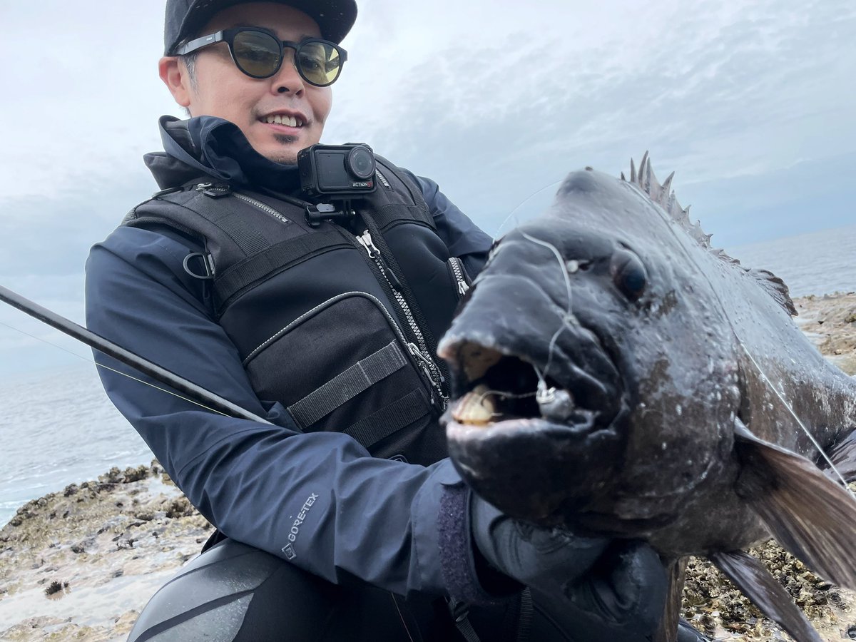 FishingNob's tweet photo. 虫ヘッド初イシダイが70オーバー🐟 https://t.co/bCpcnMKdjY