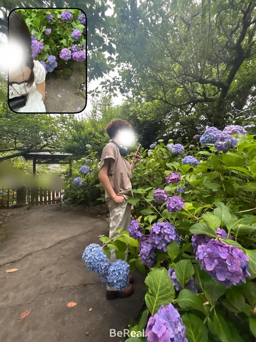 Zil_o9's tweet photo. 1puと紫陽花を見に行って来ました;)
沢山食べて沢山お花みたよ~。

と、今週のお花~！🌷 https://t.co/qRM5kzqNGe