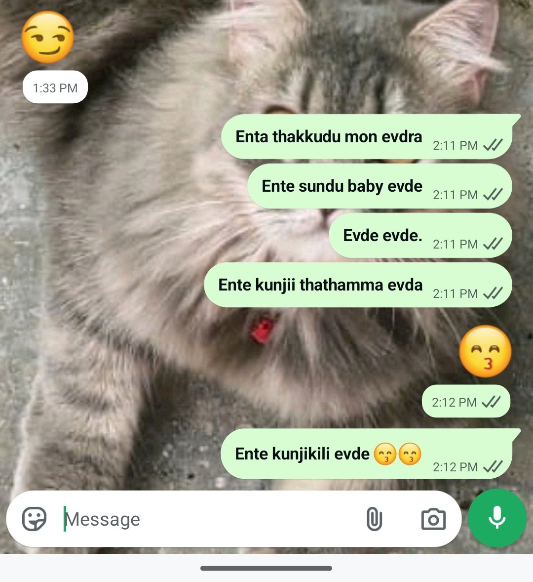 Icantwrite_good's tweet photo. Chekkanu msg cheythatt rply kku kaathirikken.!🌚me in my romaaantic girlfriend era. 😗💋 https://t.co/nZ6YZ4R4N0