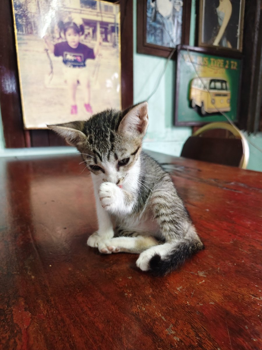 khawoakx's tweet photo. 😸 https://t.co/sqzzXhEssG