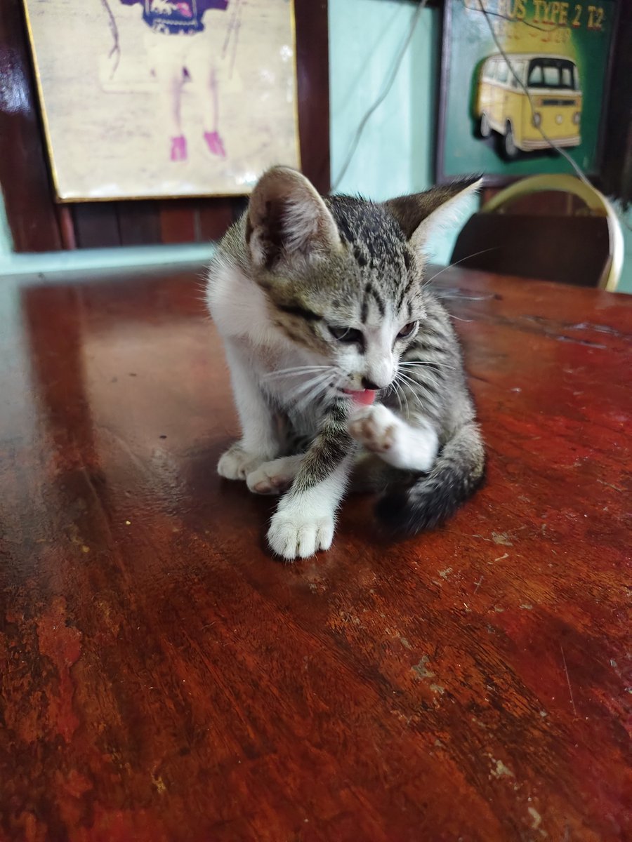 khawoakx's tweet photo. 😸 https://t.co/sqzzXhEssG