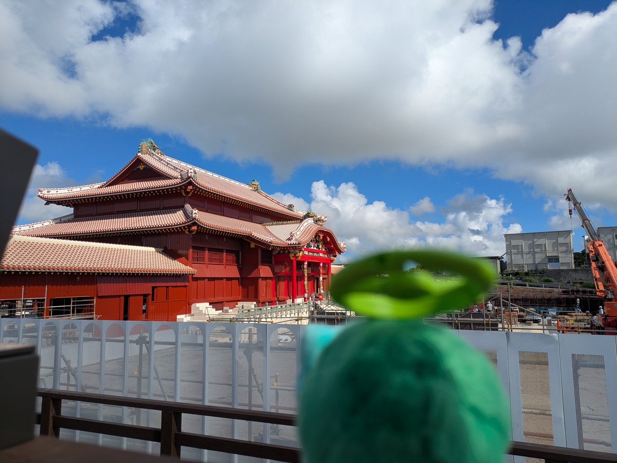 May_0529sm's tweet photo. ダネ旅@沖縄
梅雨明けしてたから沢山光合成できたね。 https://t.co/GXsGoBH0Yh