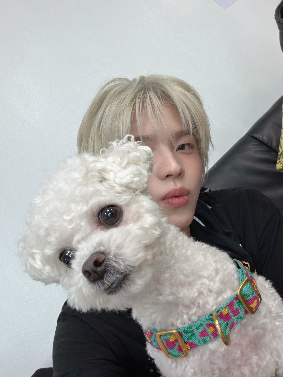 iEatShinyu's tweet photo. why i think puppyhoon is real

EXHIBIT A: these were posted on the same day BTW ...... #suspicious https://t.co/356pWUmIig