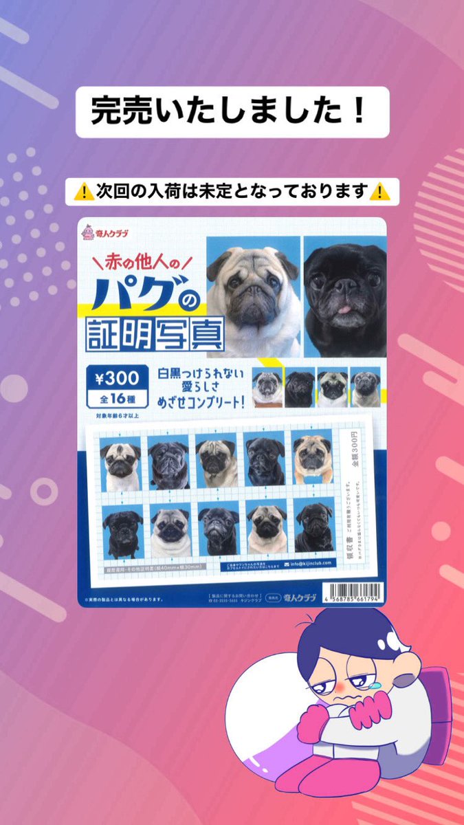 完売のご案内‼️ 📌 パグの証明写真 ご好評につき完売いたしました