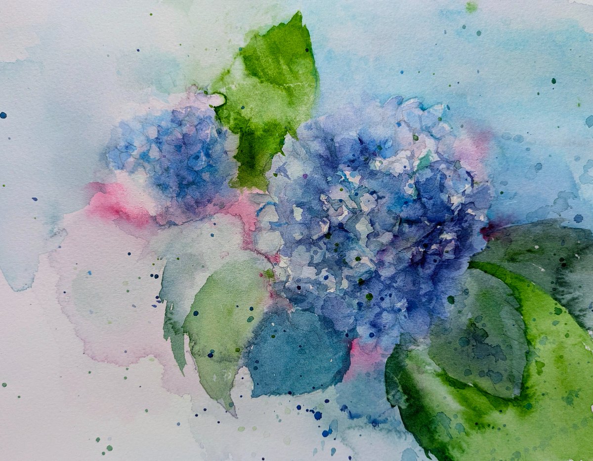 いぜん描いた青紫陽花を、修正しました。 ＃透明水彩