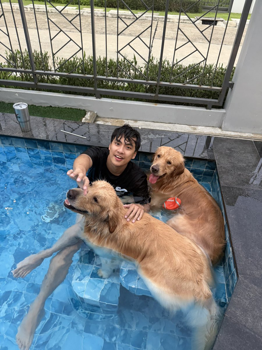 ohmpawatt's tweet photo. Day off 🐶 https://t.co/wZ0ElXsrj5
